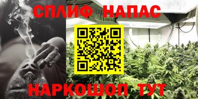 ECSTASY Кунгур