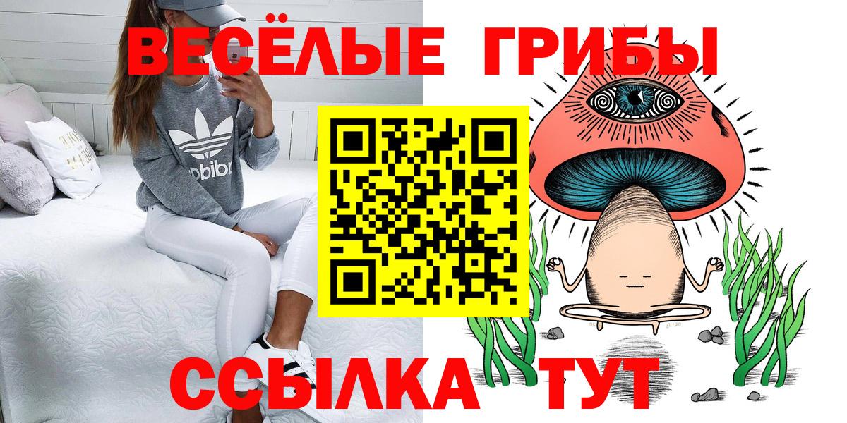 Псилоцибиновые грибы GOLDEN TEACHER  Вход с VPN  Гуково  Галлюциногенные грибы GOLDEN TEACHER 