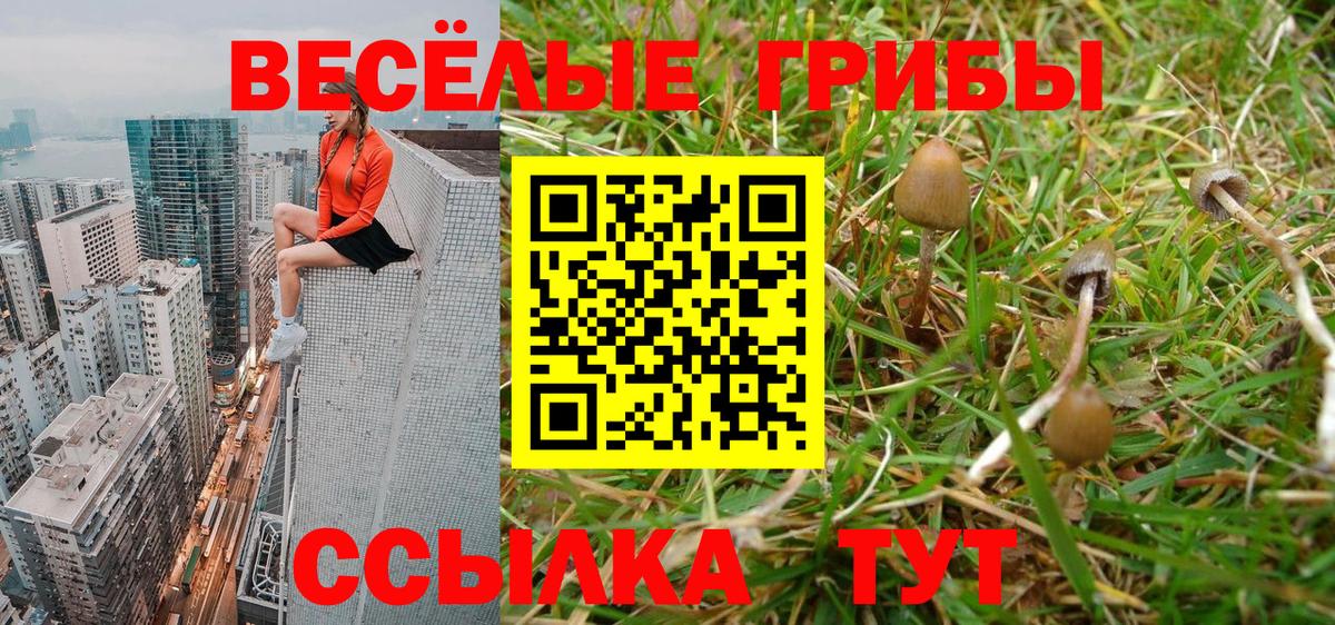 Псилоцибиновые грибы MAGIC MUSHROOMS Гуково